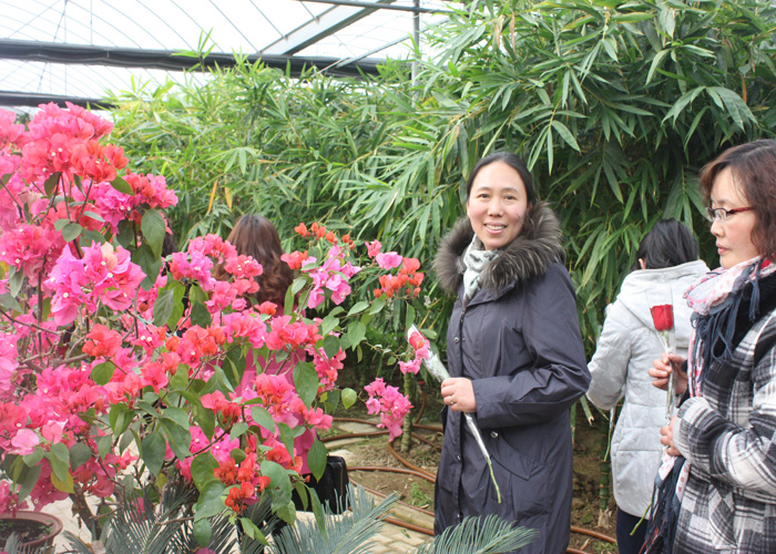 明天种业女员工参观江宁台创花博园